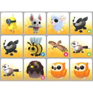 BUNDLE PET X12