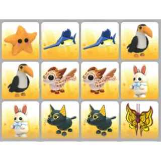 BUNDLE PET X12