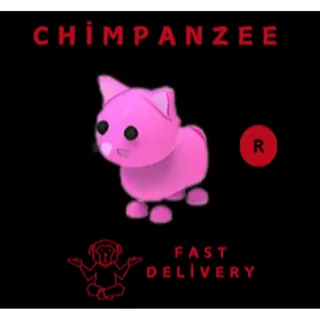 PINK CAT R