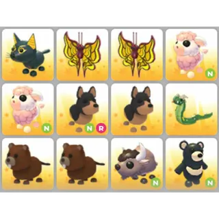 BUNDLE PET X12