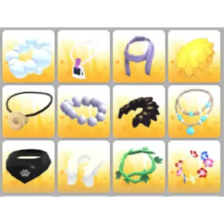BUNDLE PET WEAR X12