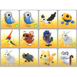 BUNDLE PET X12