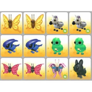 BUNDLE PET X12
