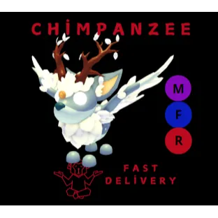 christmas spirit MFR