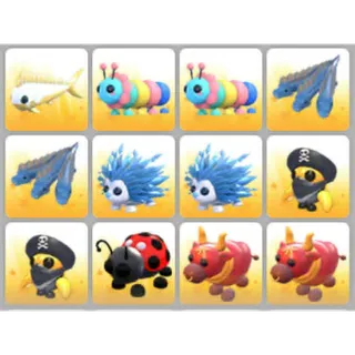 BUNDLE PET X12