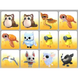 BUNDLE PET X12
