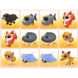 BUNDLE PET X12