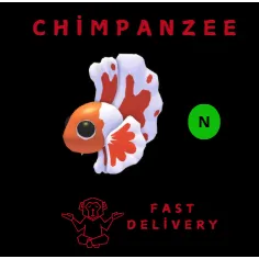 Neon Orange Betta Fish