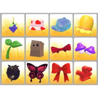 BUNDLE PET WEAR X12