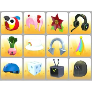 BUNDLE PET WEAR X12