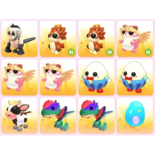BUNDLE PET X12