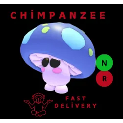 Mushroom Friend NR