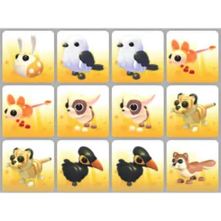 BUNDLE PET X12