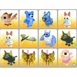 BUNDLE PET X12