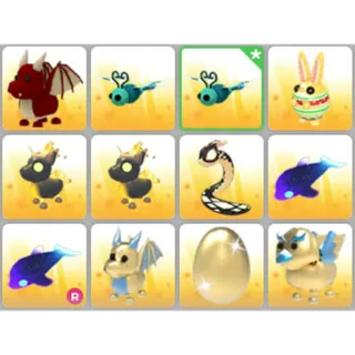 BUNDLE PET X12
