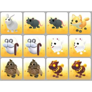 BUNDLE PET X12