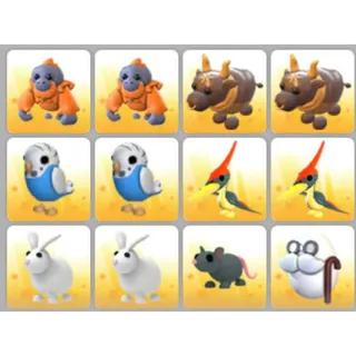 BUNDLE PET X12