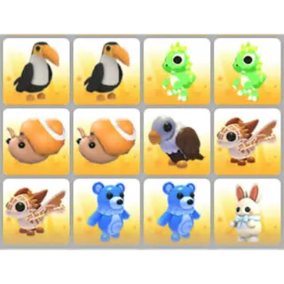 BUNDLE PET X12