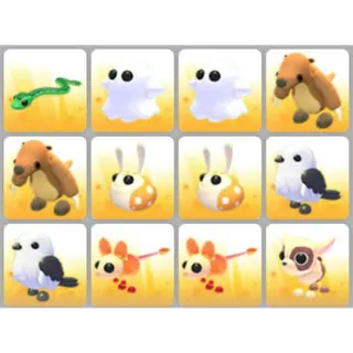 BUNDLE PET X12