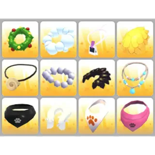 BUNDLE PET WEAR X12