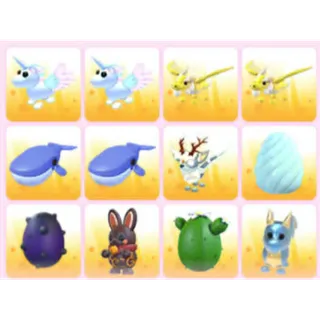 BUNDLE PET X12