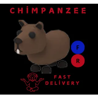 capybara fr