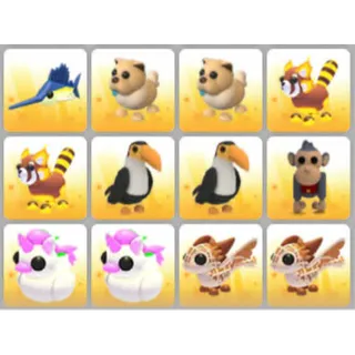 BUNDLE PET X12