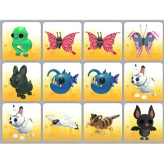 BUNDLE PET X12