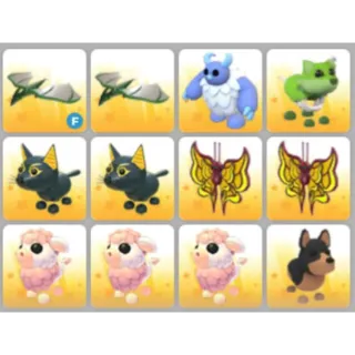 BUNDLE PET X12