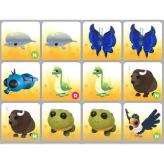 BUNDLE PET X12