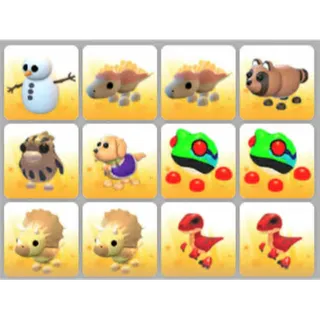 BUNDLE PET X12