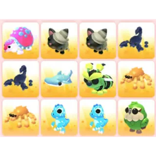 BUNDLE PET X12