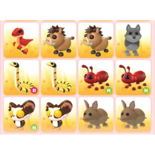 BUNDLE PET X12