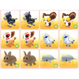 BUNDLE PET X12