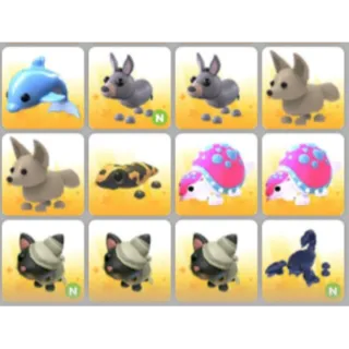 BUNDLE PET X12