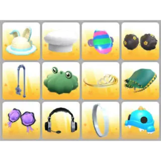 BUNDLE PET WEAR X12