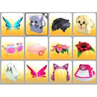 BUNDLE PET WEAR X12