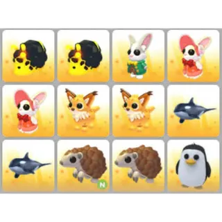 BUNDLE PET X12