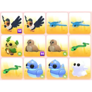 BUNDLE PET X12