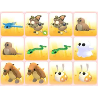 BUNDLE PET X12