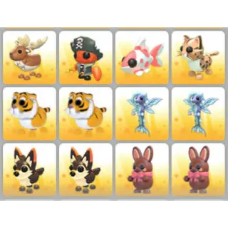 BUNDLE PET X12