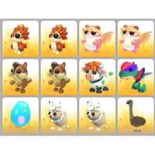 BUNDLE PET X12
