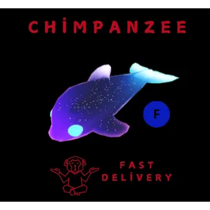 Glormy Dolphin F