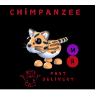 OCELOT MR
