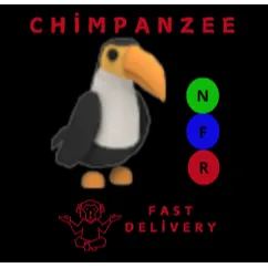TOUCAN NFR