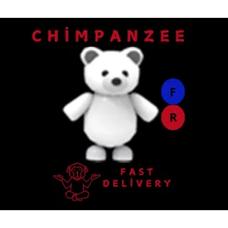 POLAR BEAR FR