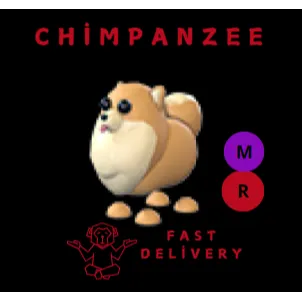 POMERANIAN MR