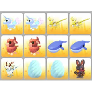BUNDLE PET X12