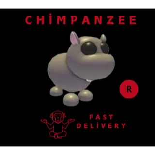 HIPPO R