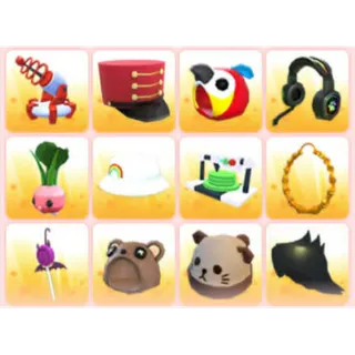 BUNDLE PET WEAR X12